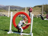 Children's agility display